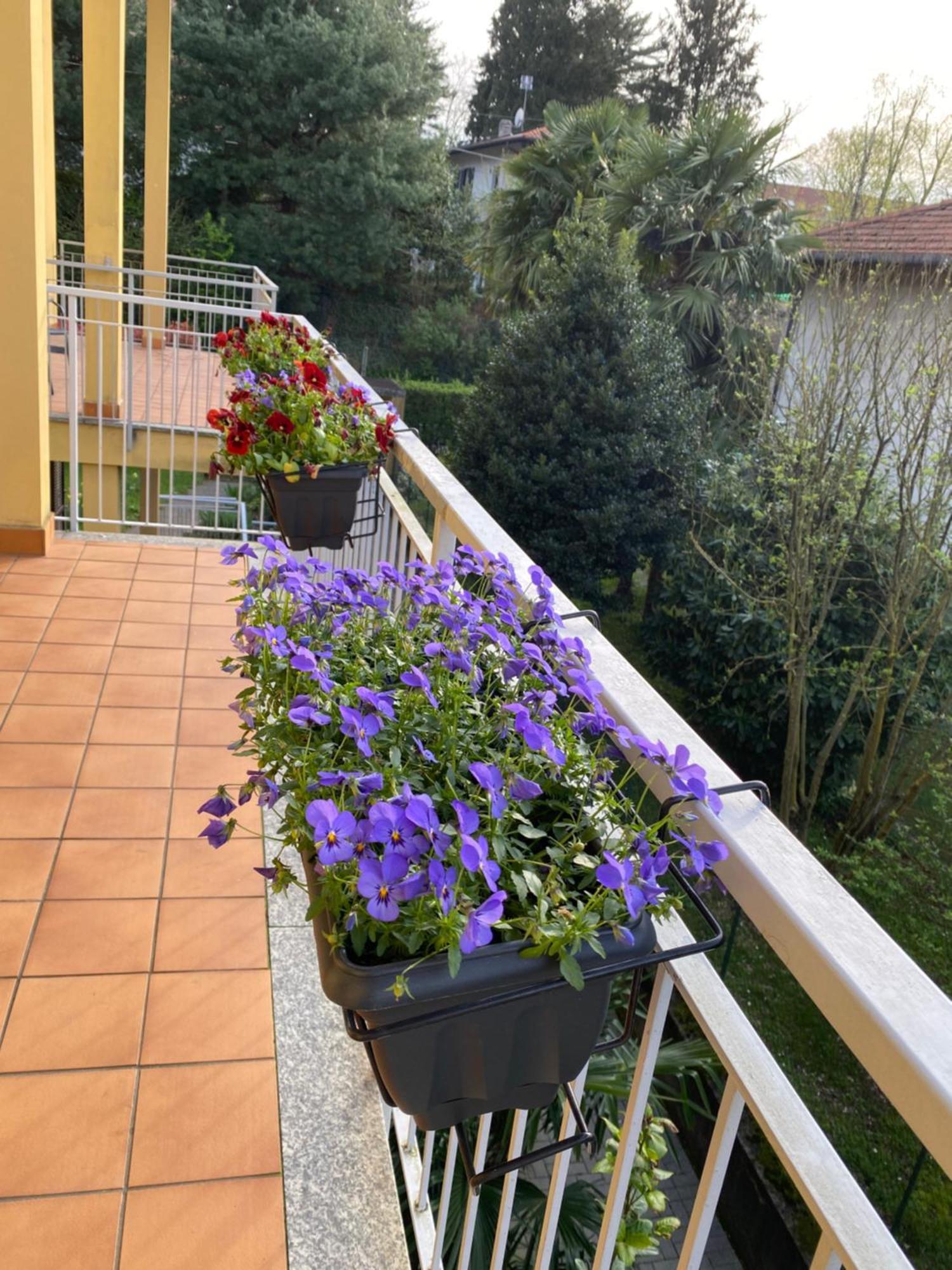Appartamento Anna Lungo Fiume - Lago Maggiore Sesto Calende Extérieur photo