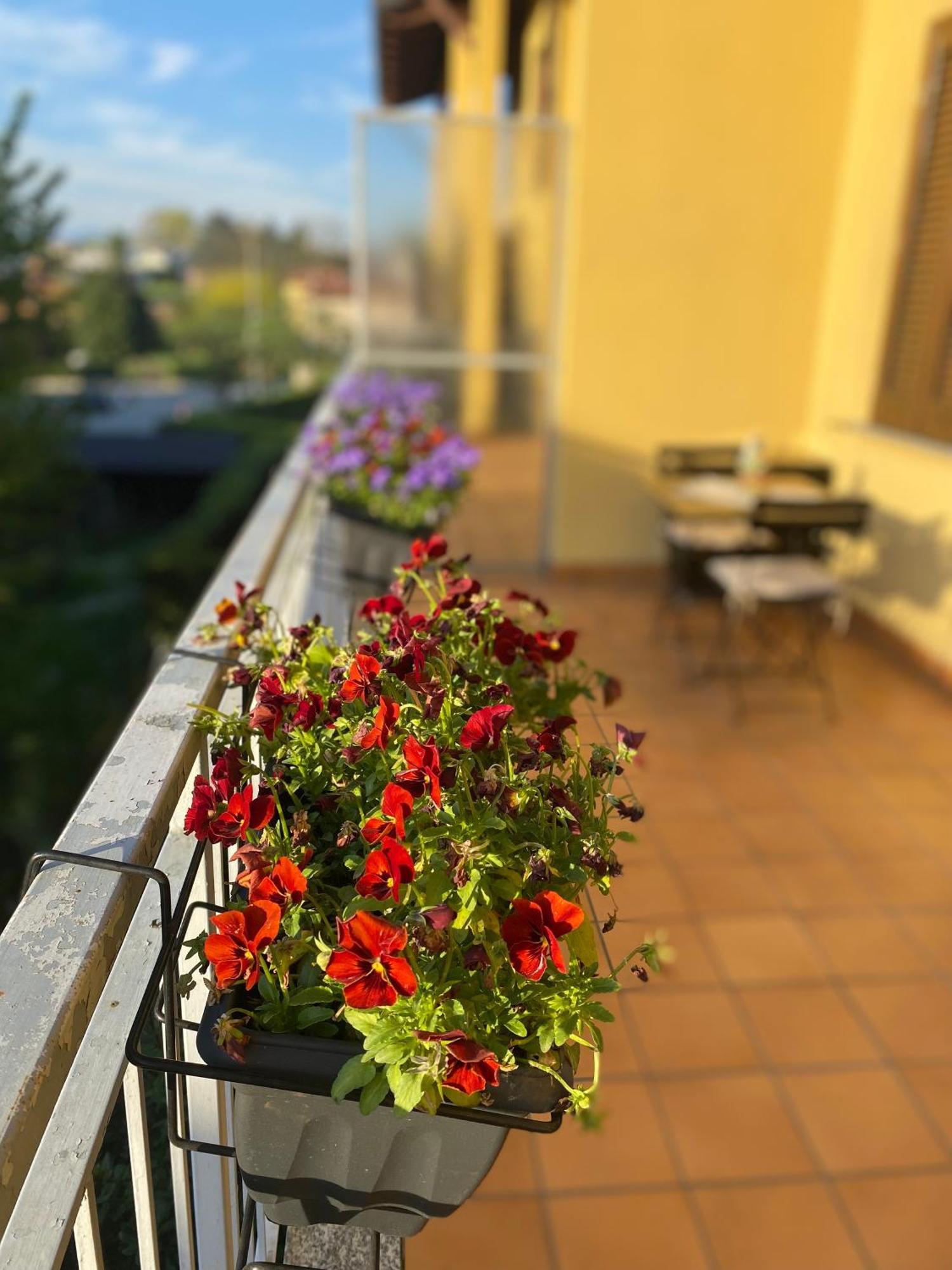 Appartamento Anna Lungo Fiume - Lago Maggiore Sesto Calende Extérieur photo